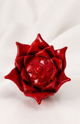 이름